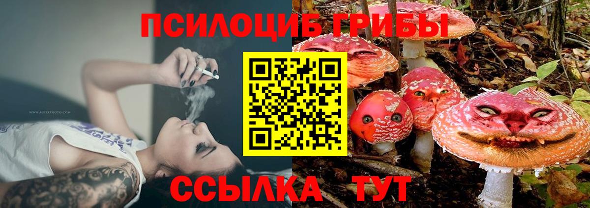 купить наркотики сайты  Вход с VPN  Торжок  Галлюциногенные грибы мицелий 